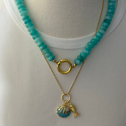 Blue sea shell